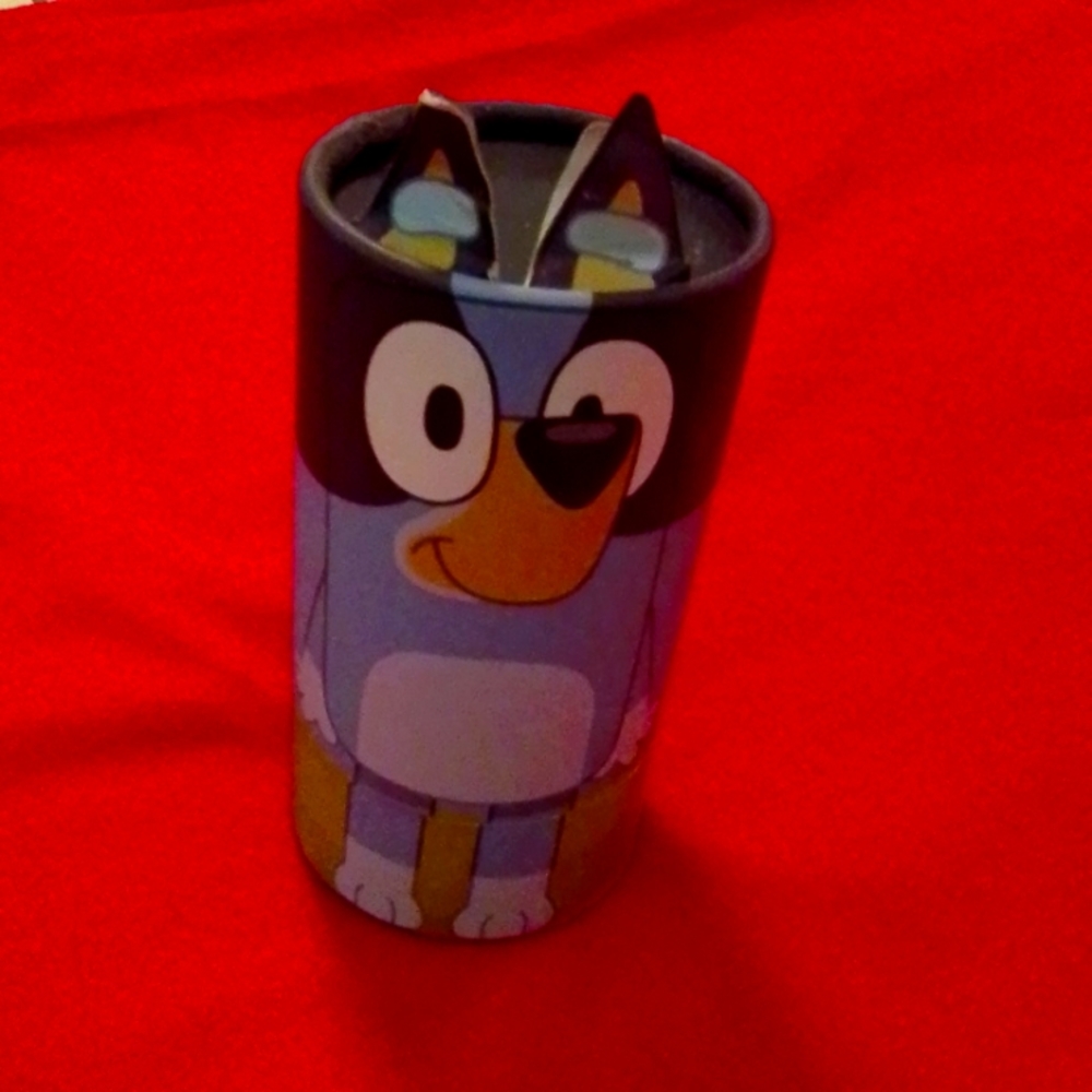 bluey canister puzzle